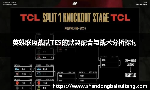 英雄联盟战队TES的默契配合与战术分析探讨